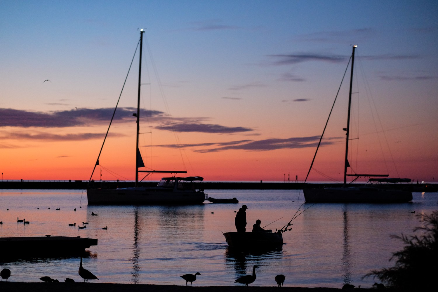 Master Dramatic Backlight Photography: Pro Tips for Portraits, Landscapes & Food