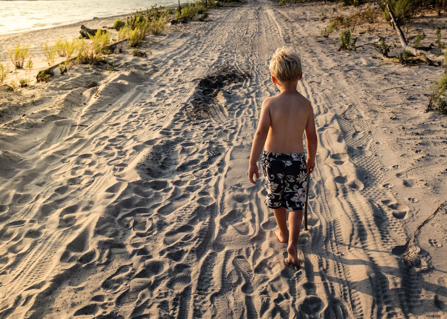 Master Dramatic Backlight Photography: Pro Tips for Portraits, Landscapes & Food