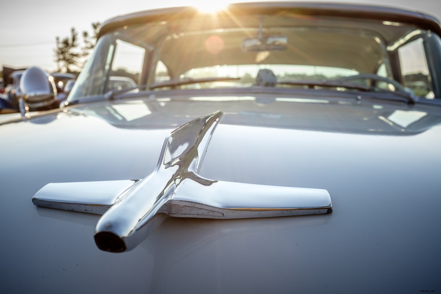 Master Dramatic Backlight Photography: Pro Tips for Portraits, Landscapes & Food