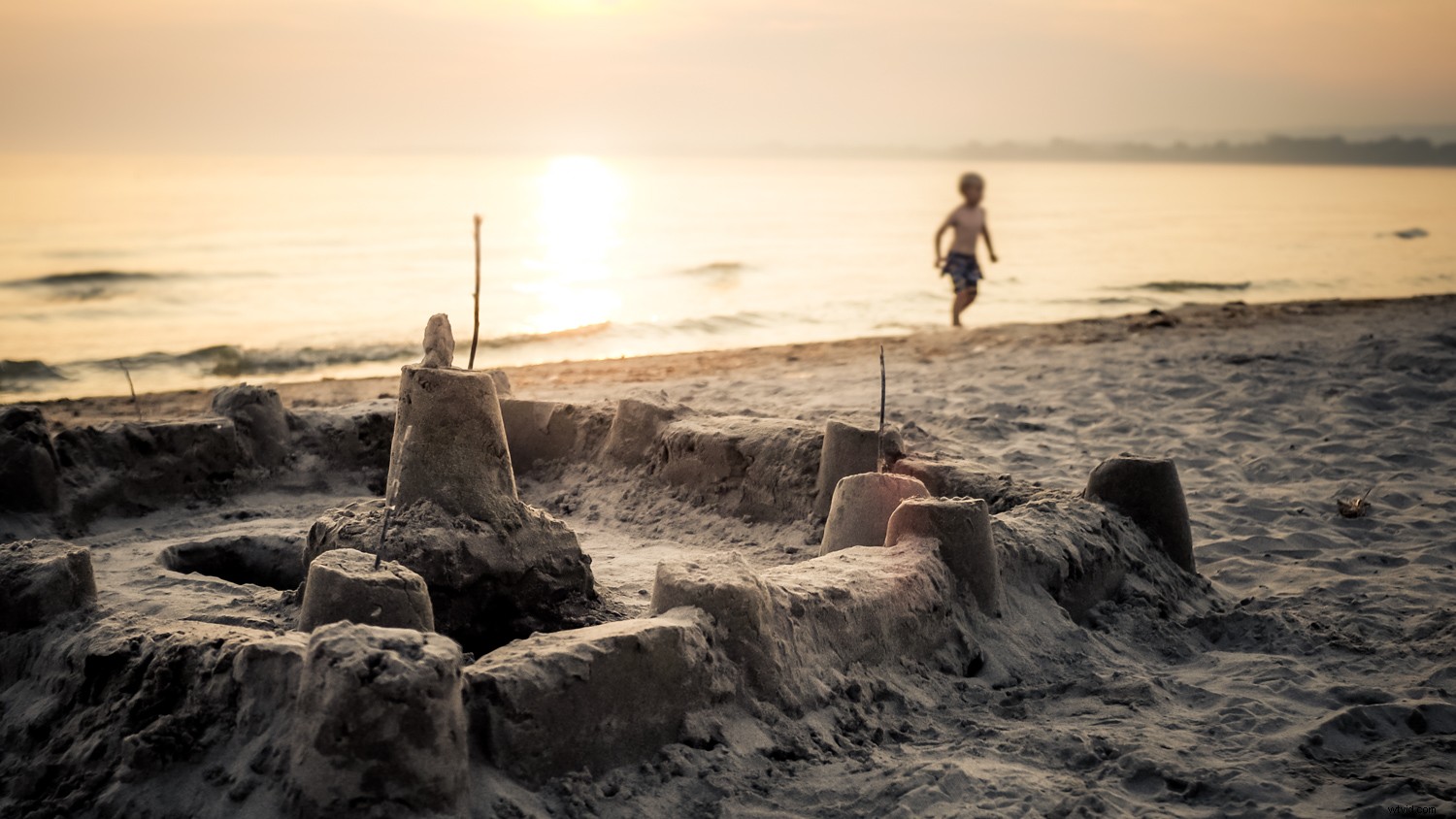 Master Dramatic Backlight Photography: Pro Tips for Portraits, Landscapes & Food