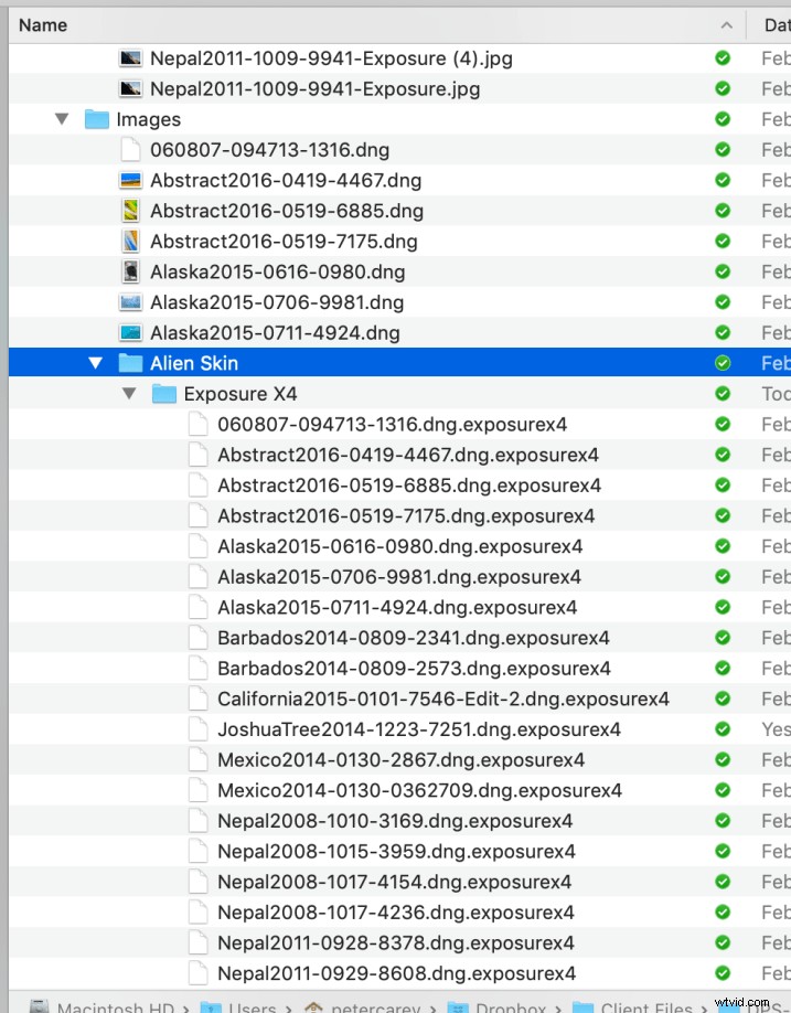 Expert Review: Alien Skin Exposure X4 – Powerful Lightroom Alternative with 500+ Presets