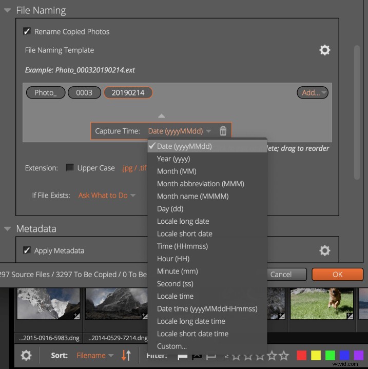 Expert Review: Alien Skin Exposure X4 – Powerful Lightroom Alternative with 500+ Presets