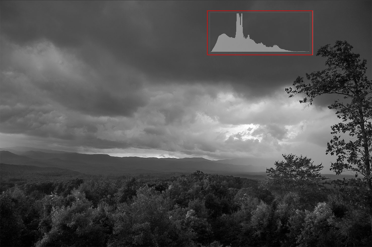 Master Photo Finishing: Unleash the True Personality in Every Image You Capture