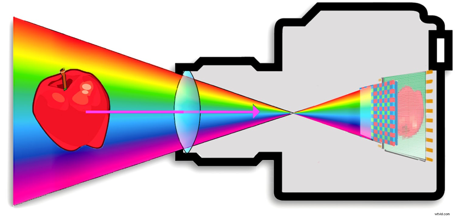 Master Photo Finishing: Unleash the True Personality in Every Image You Capture