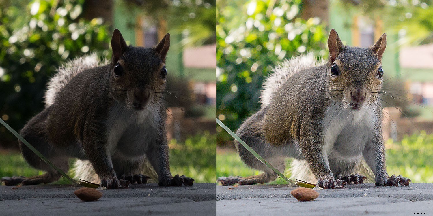 Master Photo Finishing: Unleash the True Personality in Every Image You Capture