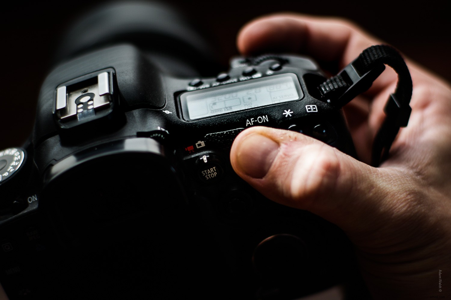 Overcoming Fear in Photography: A 5-Year Retrospective