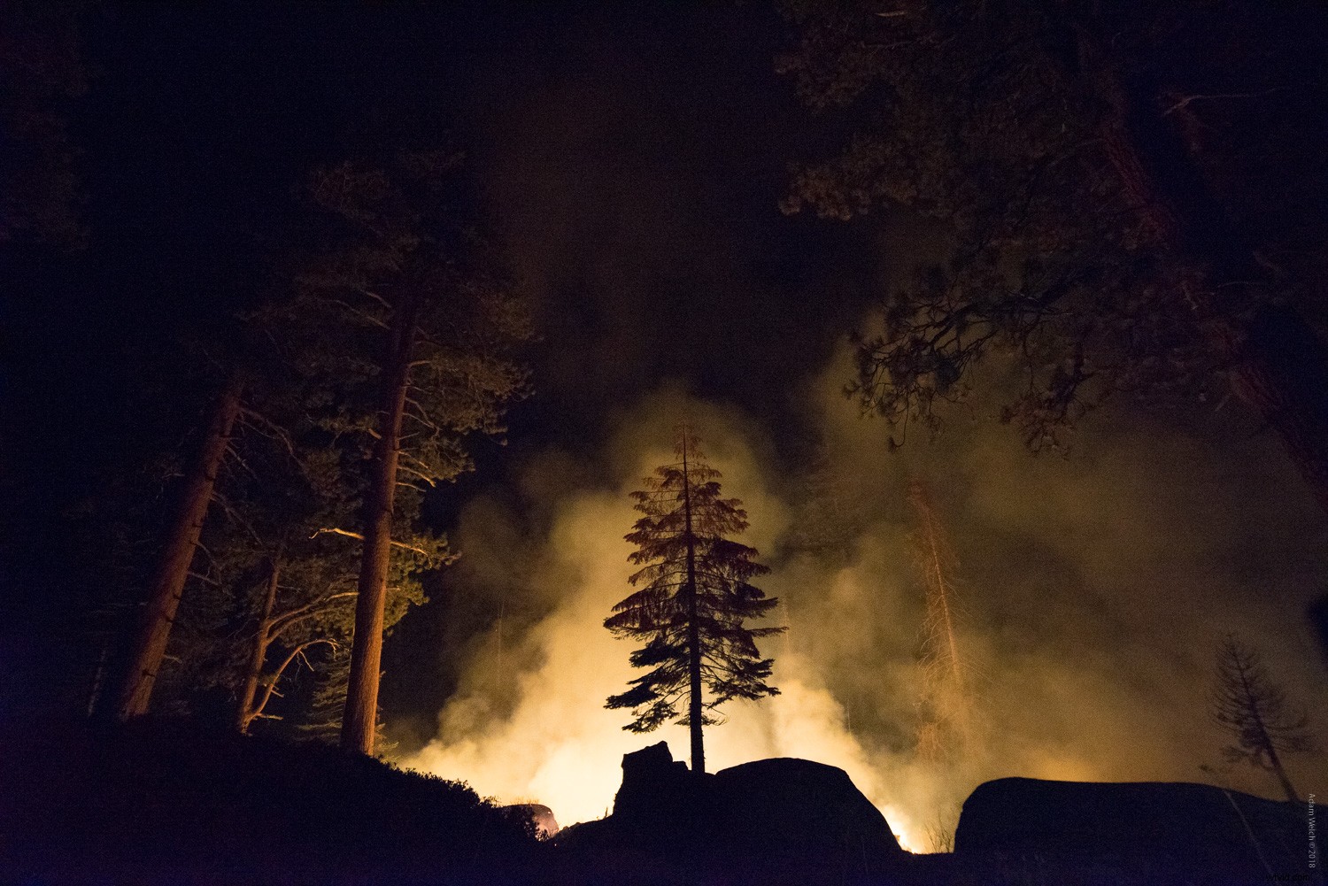 Overcoming Fear in Photography: A 5-Year Retrospective