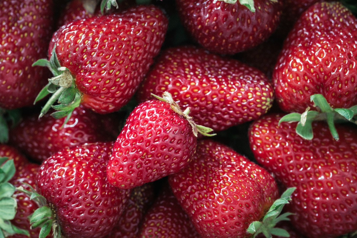 Transform Your Photos: Expert Creative Editing Techniques