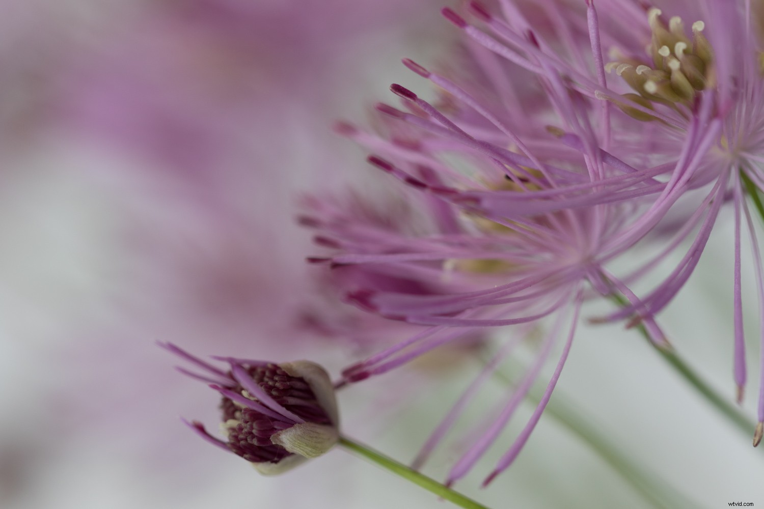 Transform Your Photos: Expert Creative Editing Techniques