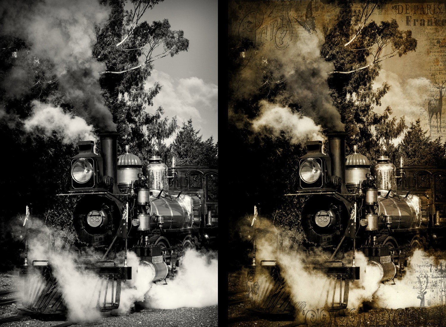 Transform Your Photos: Expert Creative Editing Techniques