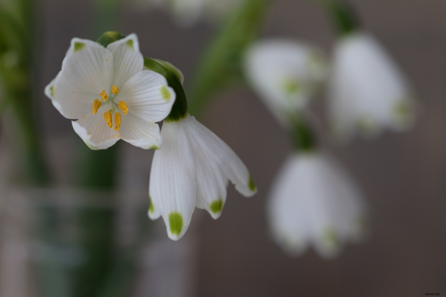 Transform Your Photos: Expert Creative Editing Techniques