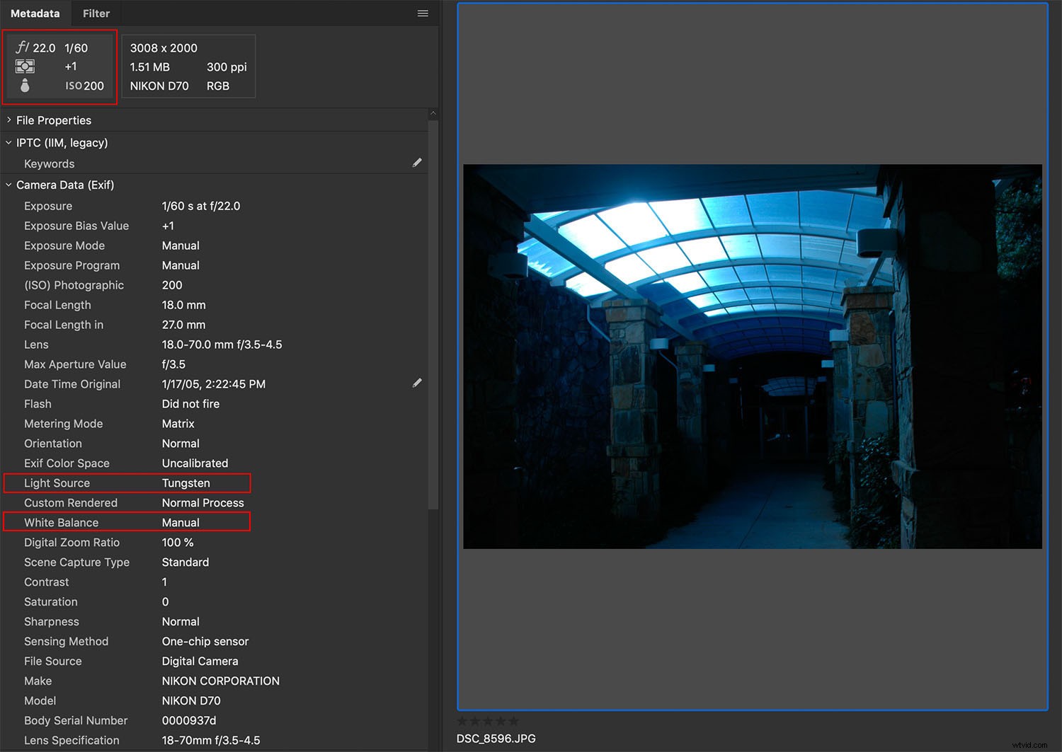 Master Photography: Learn from Your Mistakes and Become Your Own Best Teacher