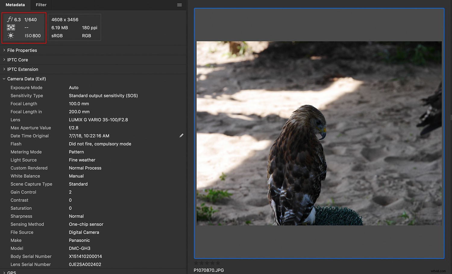 Master Photography: Learn from Your Mistakes and Become Your Own Best Teacher
