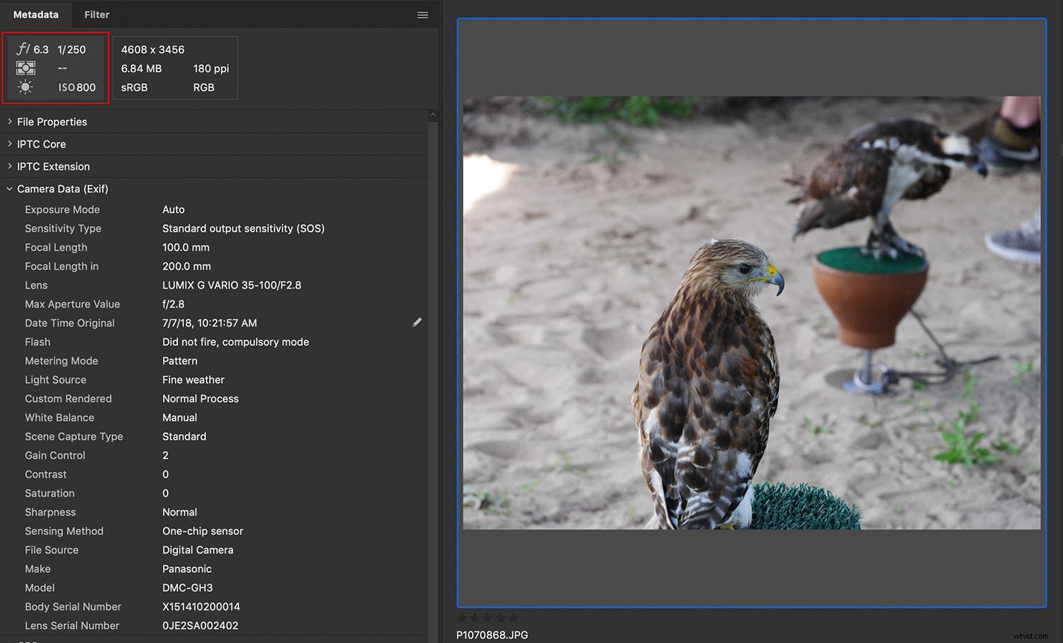 Master Photography: Learn from Your Mistakes and Become Your Own Best Teacher