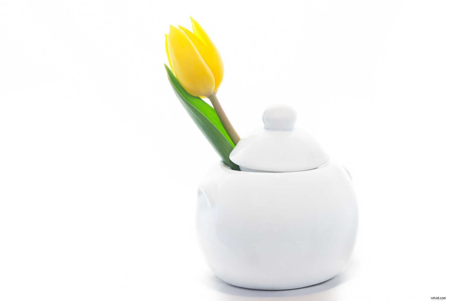 Master High-Key Photography: Pro Tips for Lighting, Shooting, and Editing