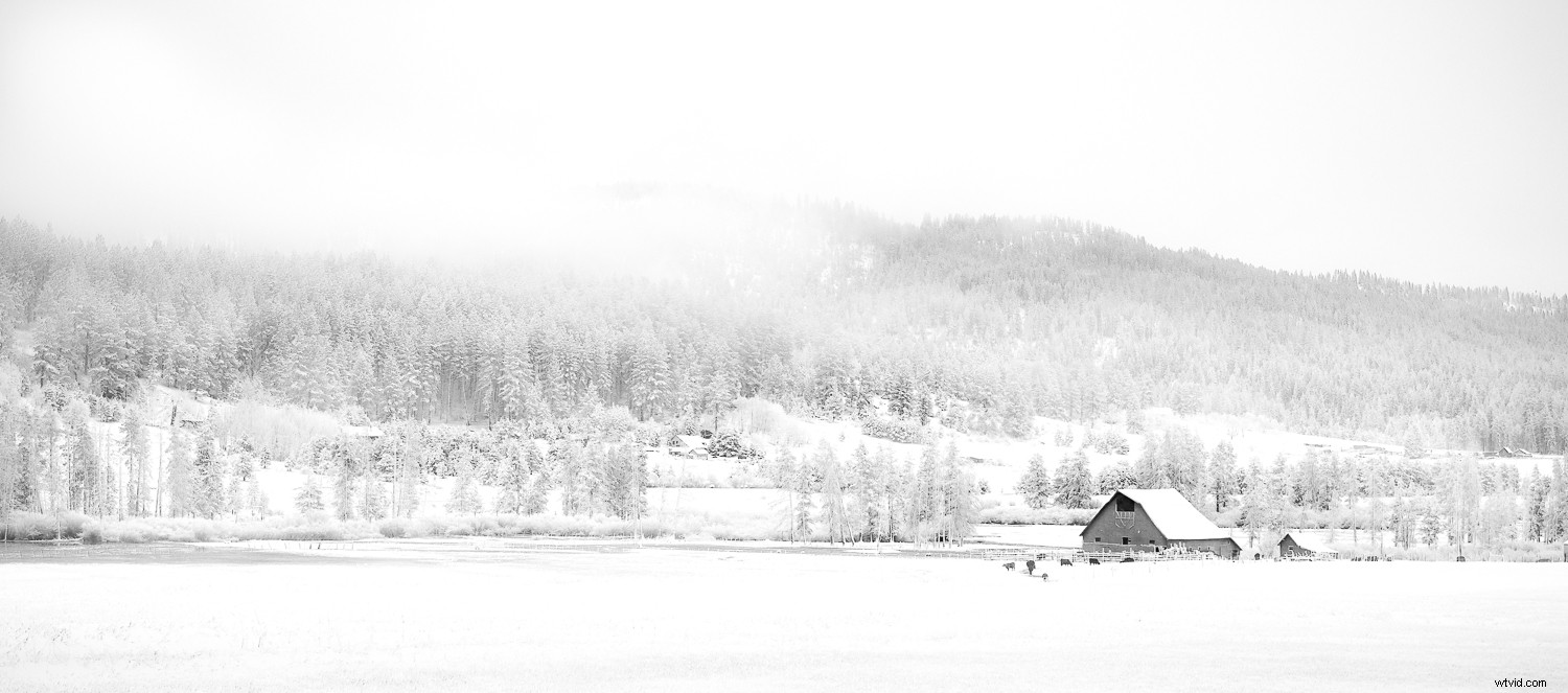 Master High-Key Photography: Pro Tips for Lighting, Shooting, and Editing