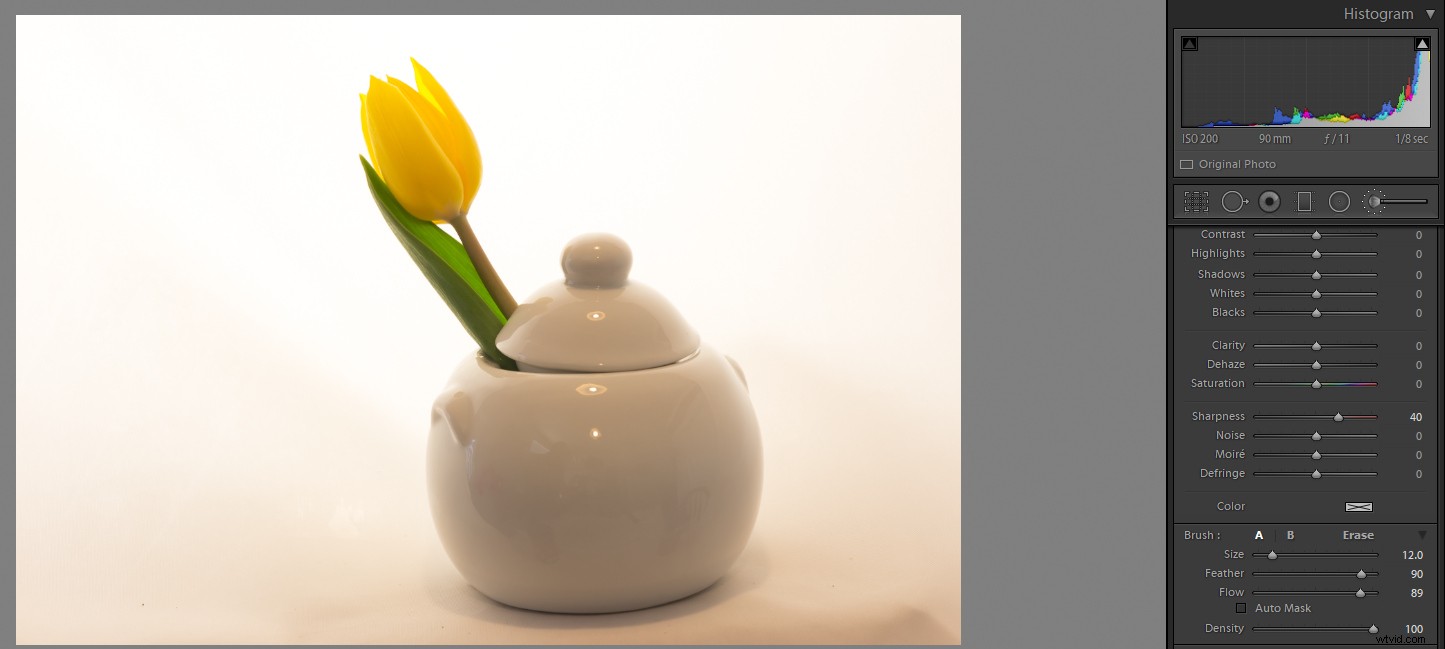 Master High-Key Photography: Pro Tips for Lighting, Shooting, and Editing