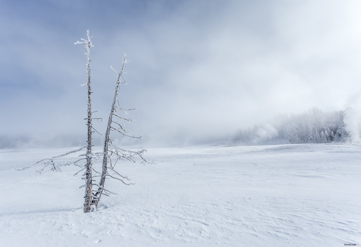 Master High-Key Photography: Pro Tips for Lighting, Shooting, and Editing