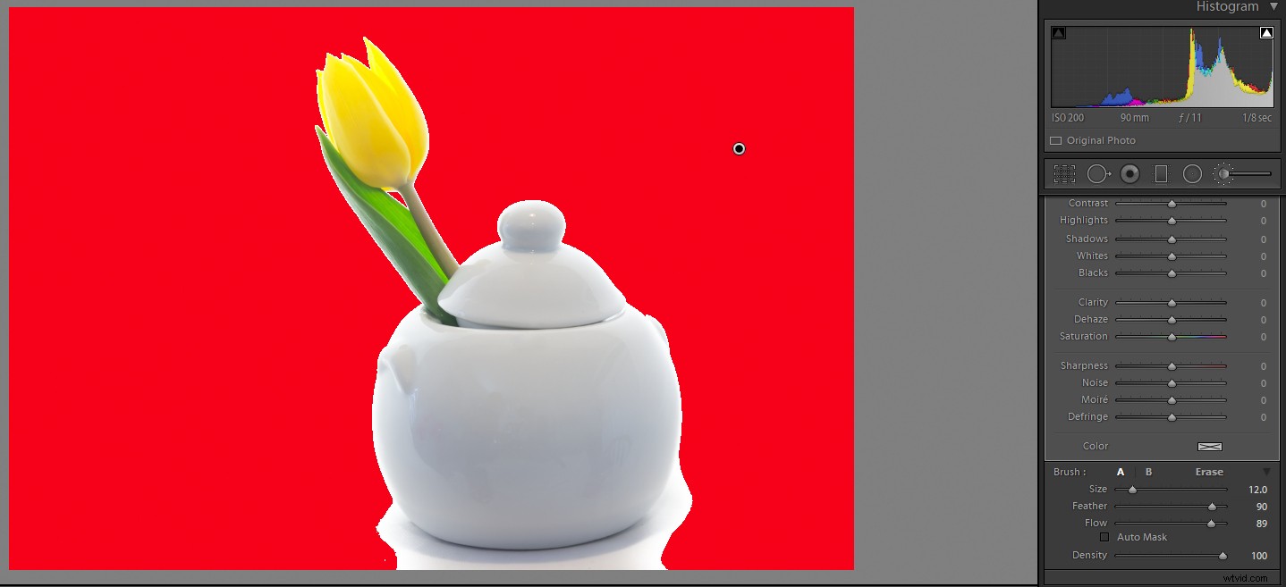 Master High-Key Photography: Pro Tips for Lighting, Shooting, and Editing