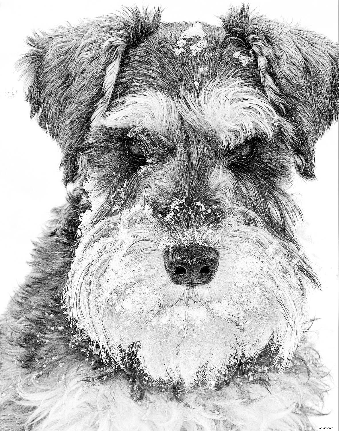 Master High-Key Photography: Pro Tips for Lighting, Shooting, and Editing