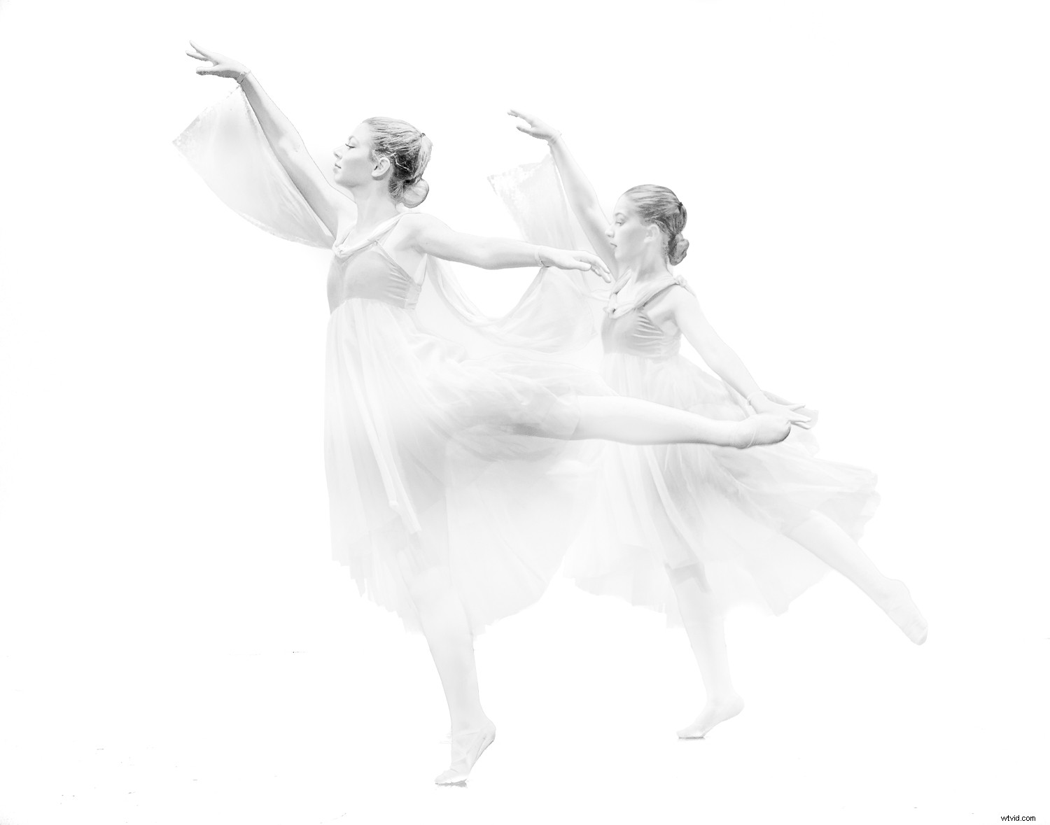 Master High-Key Photography: Pro Tips for Lighting, Shooting, and Editing