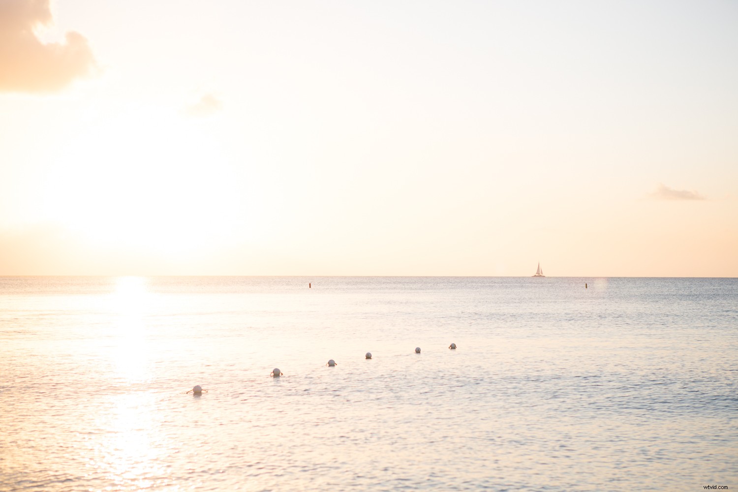 Master Color Accuracy in Your Photos: Expert Tips for True-to-Life Results