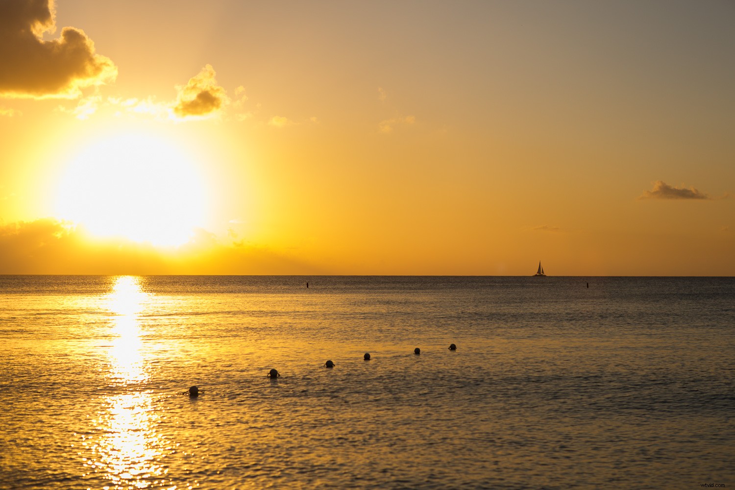 Master Color Accuracy in Your Photos: Expert Tips for True-to-Life Results