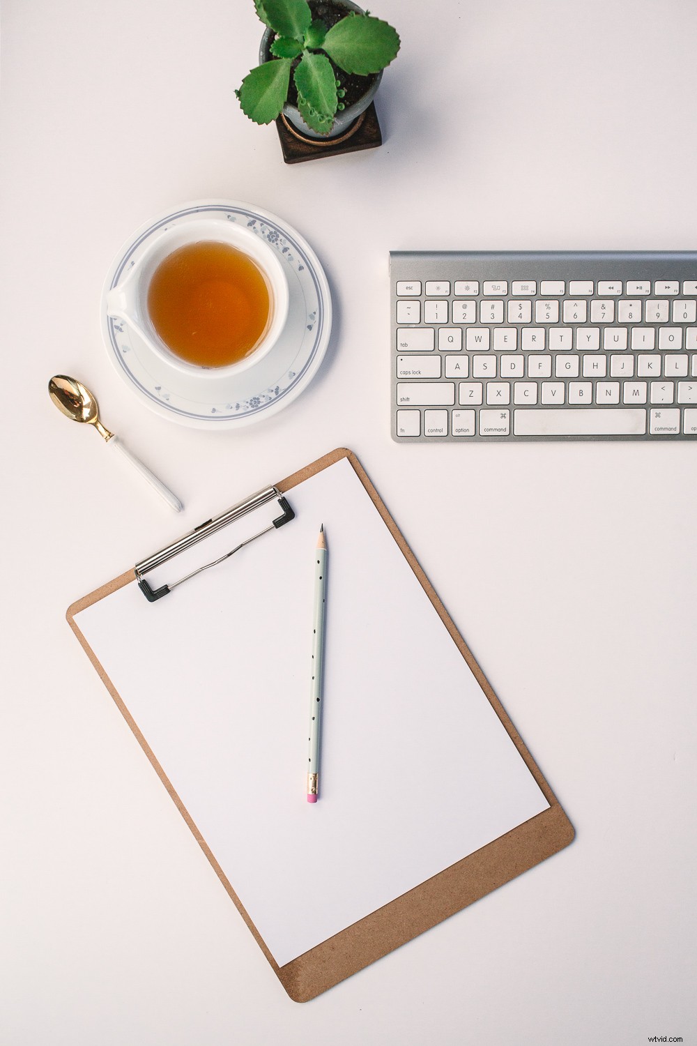 Master Color Accuracy in Your Photos: Expert Tips for True-to-Life Results