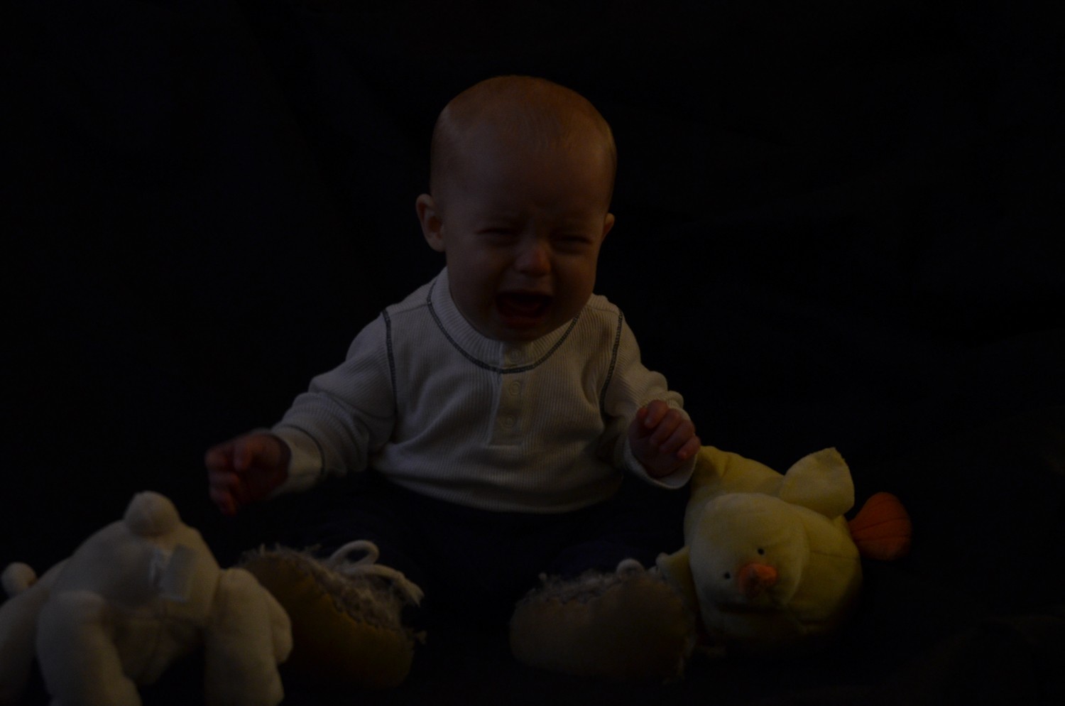 From Failure to Mastery: How to Elevate Your Photography Skills