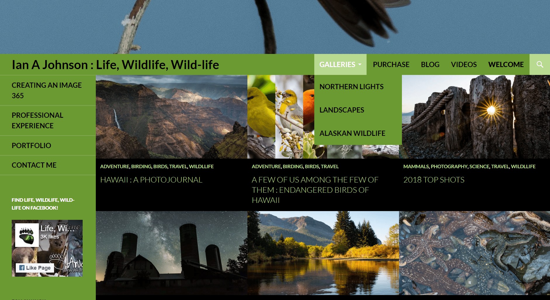 Adobe Portfolio Review: Pros and Cons for Photographers  Professional Galleries