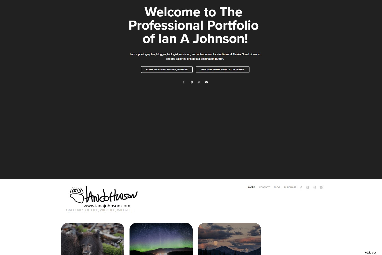 Adobe Portfolio Review: Pros and Cons for Photographers  Professional Galleries