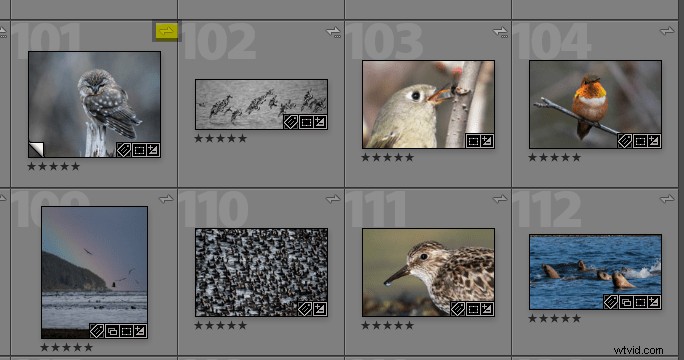 Adobe Portfolio Review: Pros and Cons for Photographers  Professional Galleries