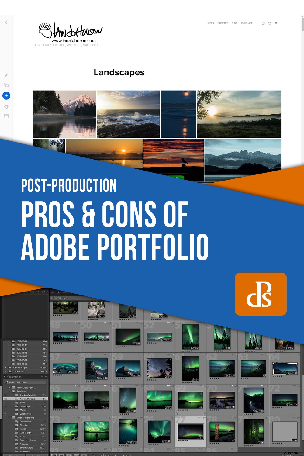 Adobe Portfolio Review: Pros and Cons for Photographers  Professional Galleries