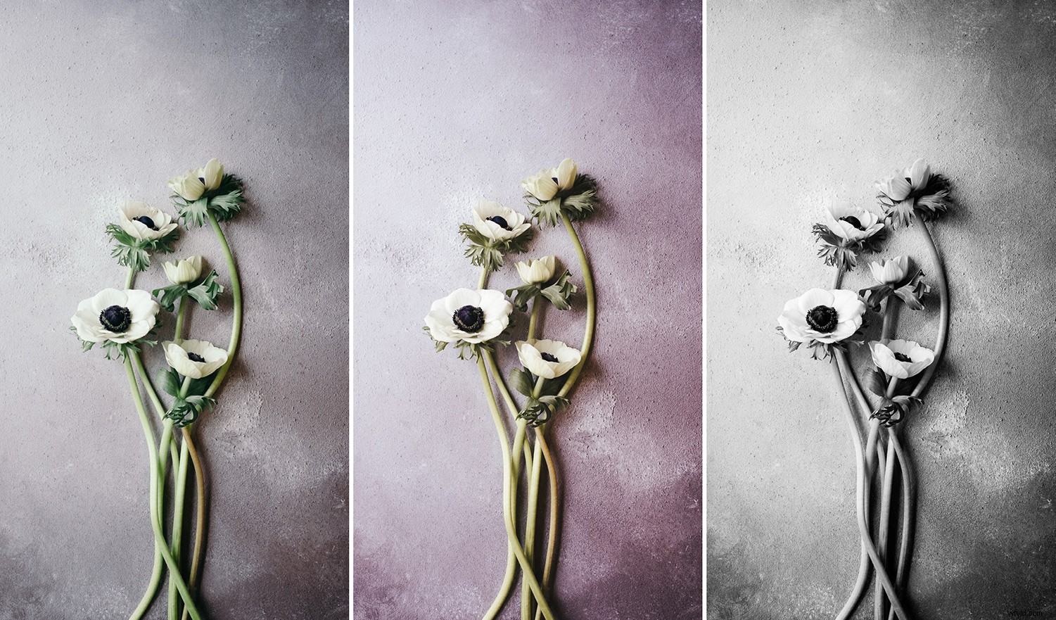 Master Still Life Photography: Simple Techniques for Stunning Images