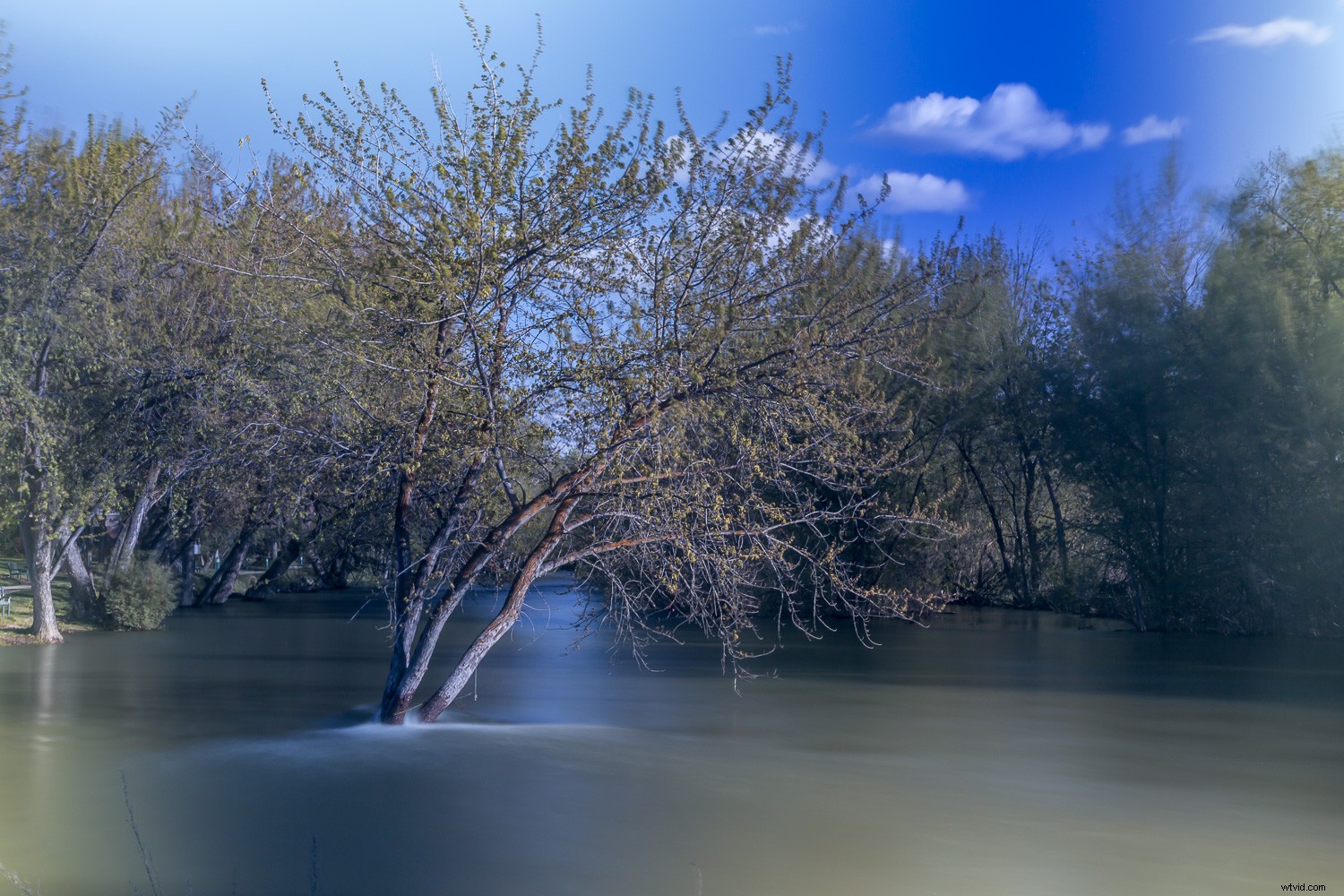 DIY Neutral Density Filter: Stunning Long Exposure Photos on a Budget