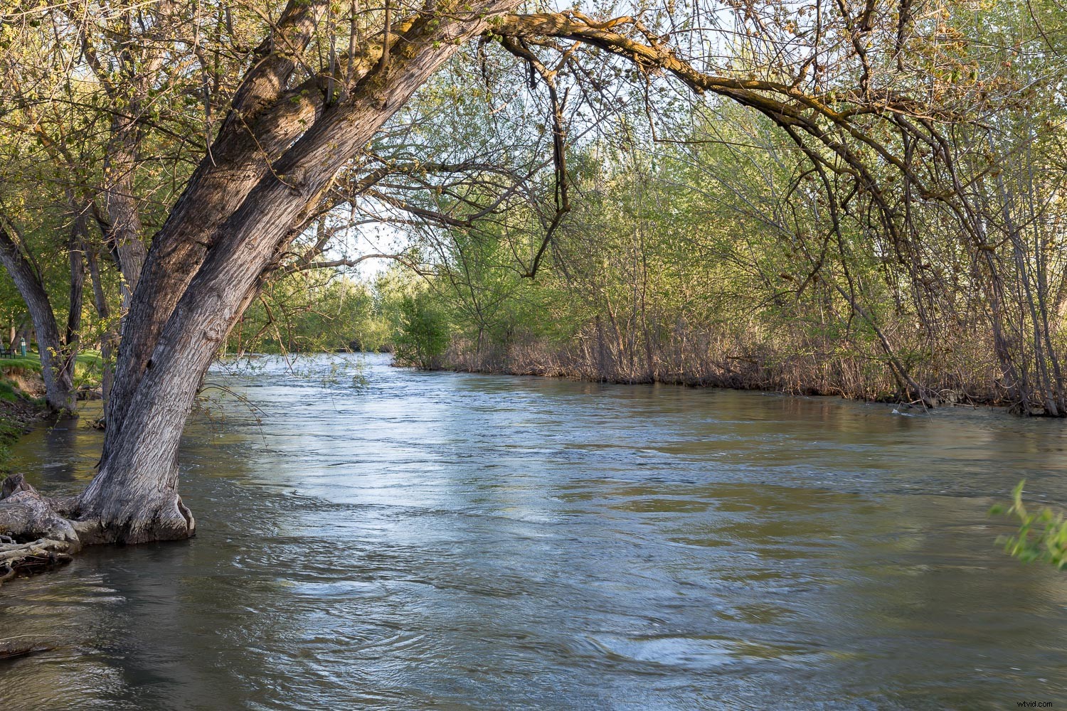 DIY Neutral Density Filter: Stunning Long Exposure Photos on a Budget