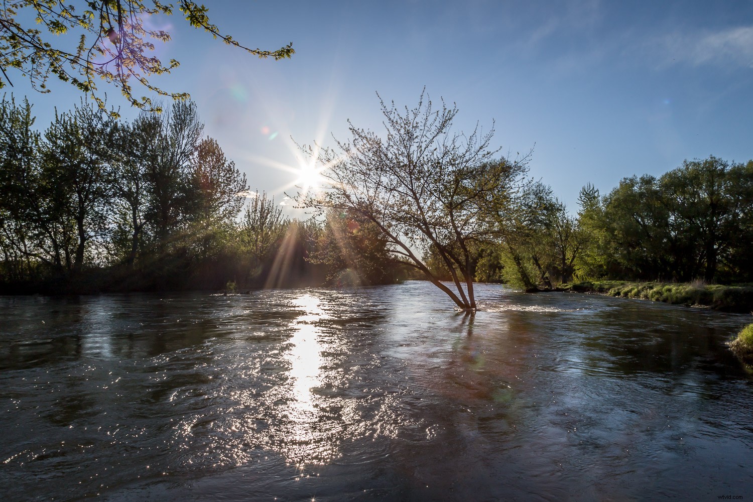 DIY Neutral Density Filter: Stunning Long Exposure Photos on a Budget