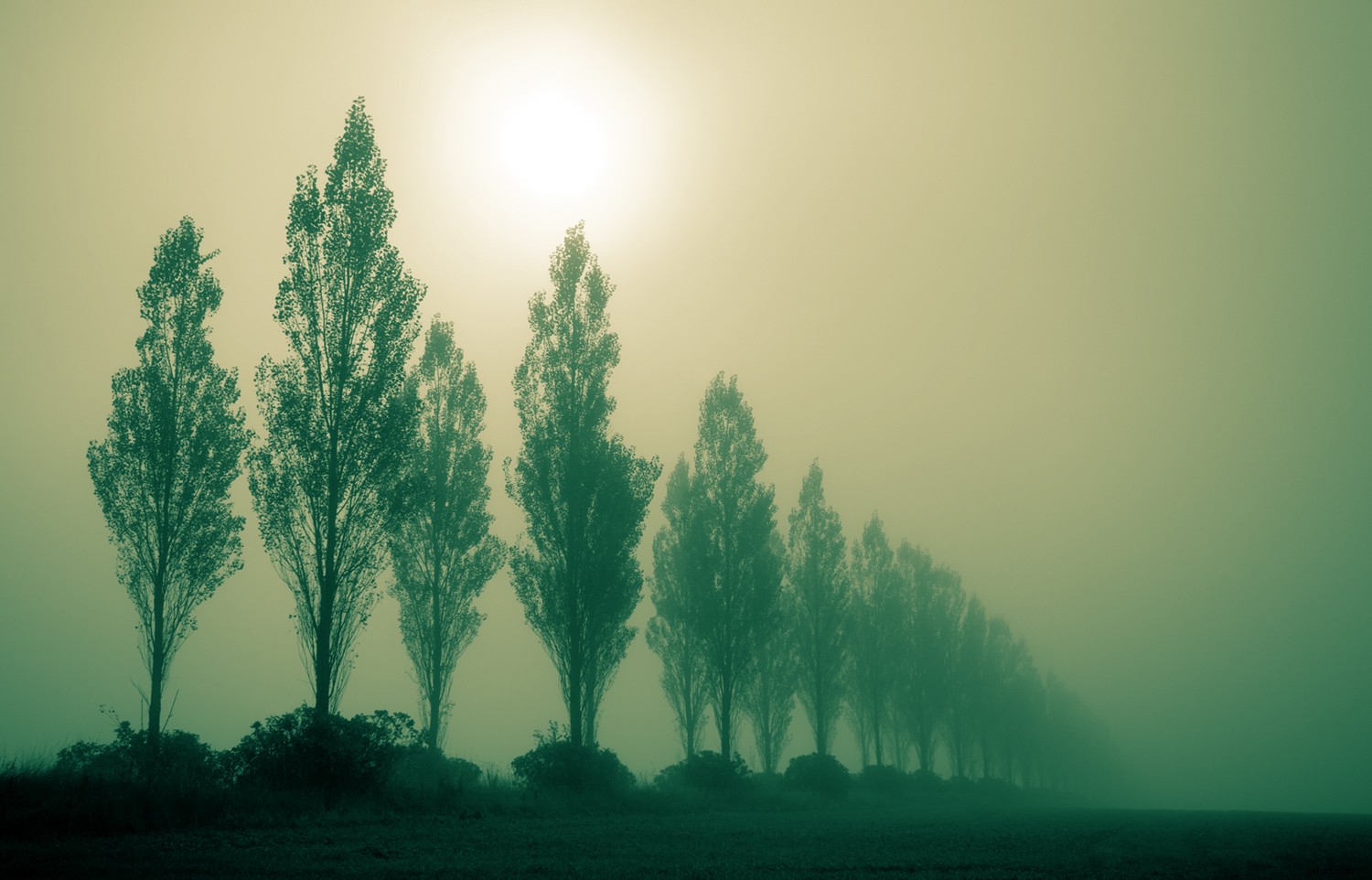 Photoshop Tutorial: Master Gradient Maps for Pro Color Correction and Creative Effects