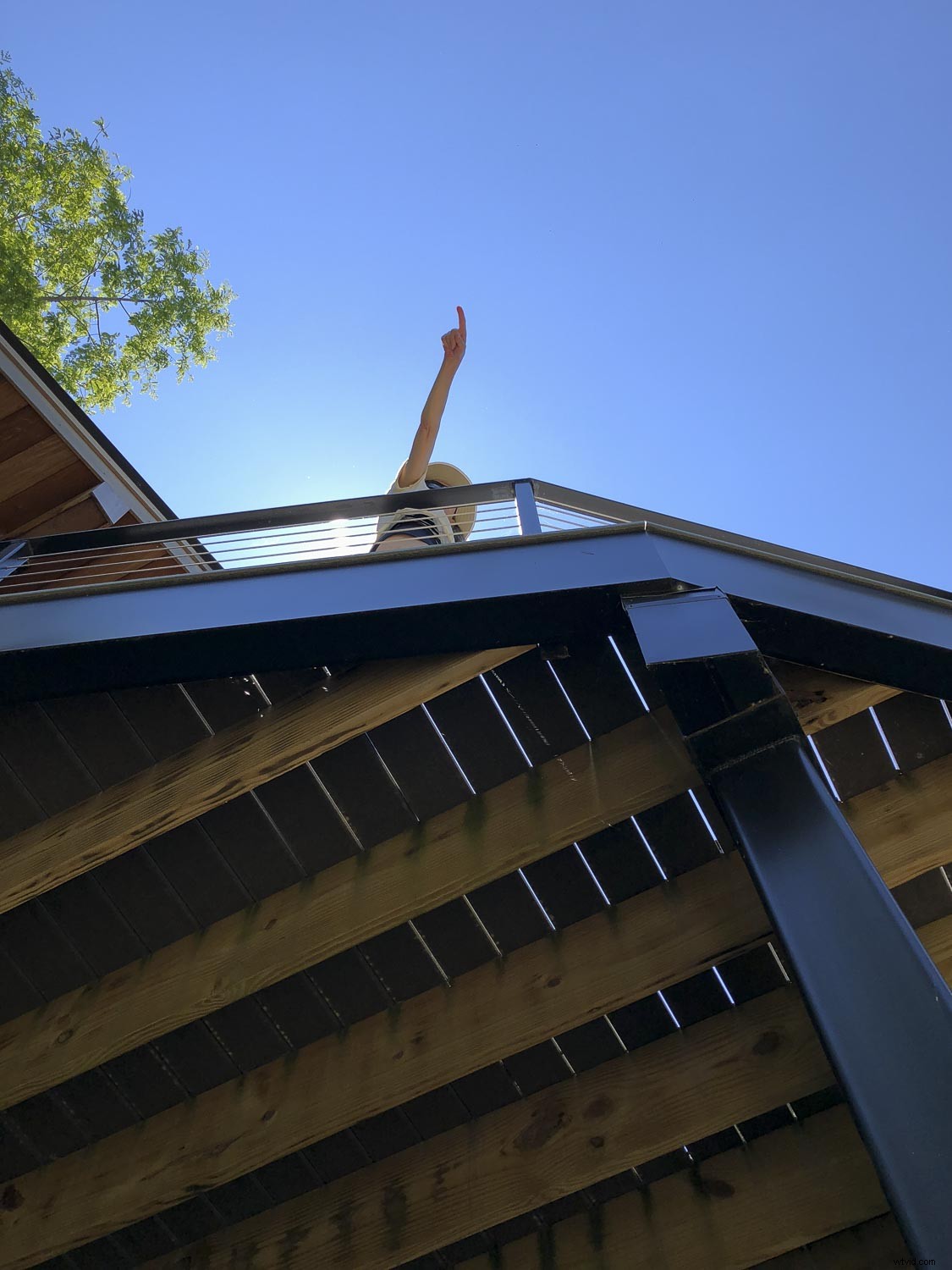 5 Proven Steps to Elevate Your Photography Skills