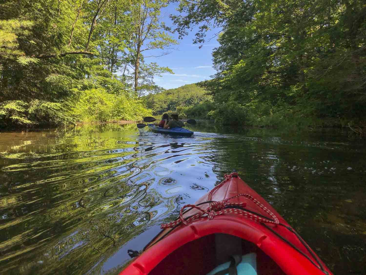 5 Proven Steps to Elevate Your Photography Skills