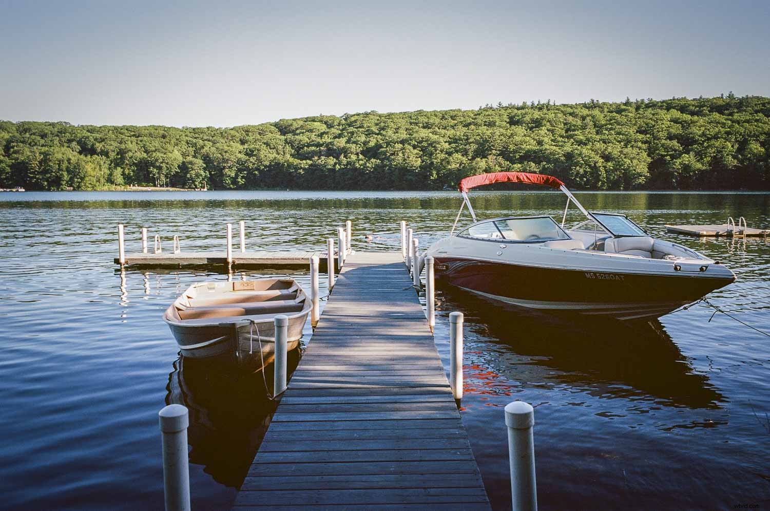 5 Proven Steps to Elevate Your Photography Skills