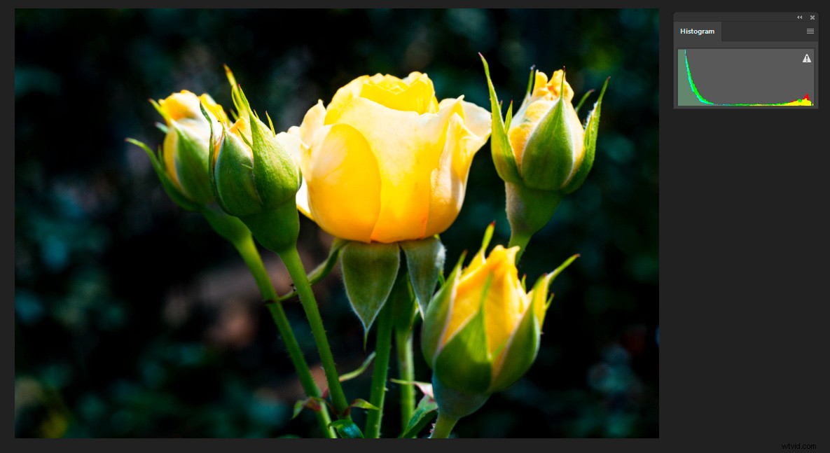 Master Perfect Exposures: Part 3 - Post-Processing Techniques for Vibrant Photos