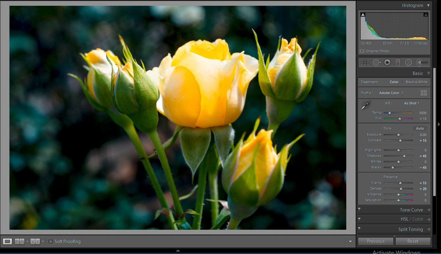 Master Perfect Exposures: Part 3 - Post-Processing Techniques for Vibrant Photos