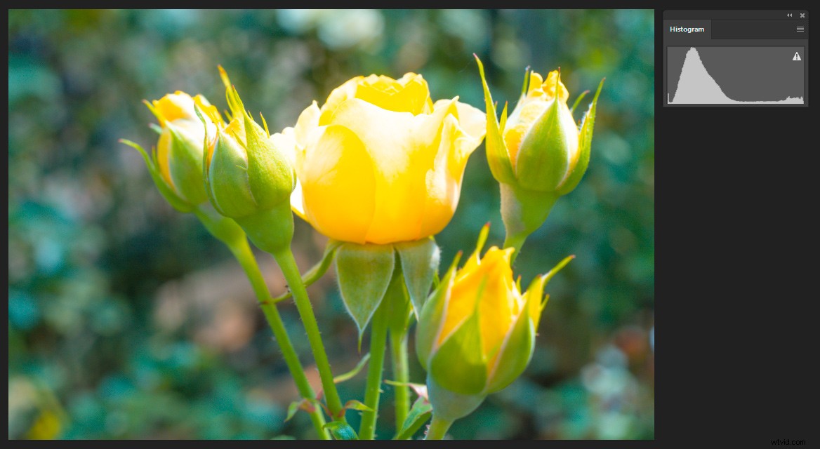 Master Perfect Exposures: Part 3 - Post-Processing Techniques for Vibrant Photos