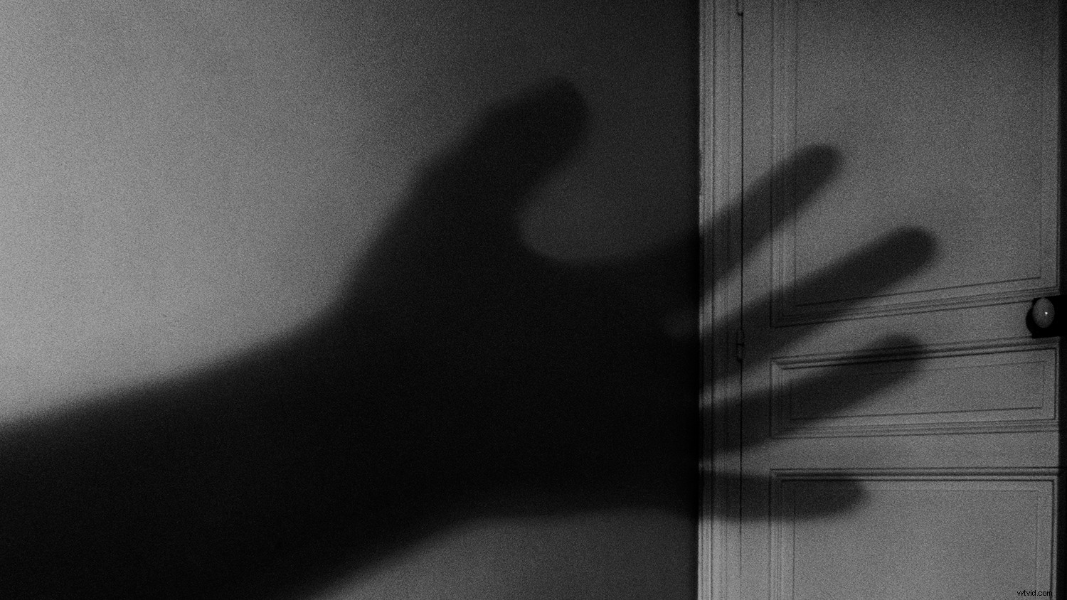 From Cinema to Camera: How Movies Inspire Stunning Photography