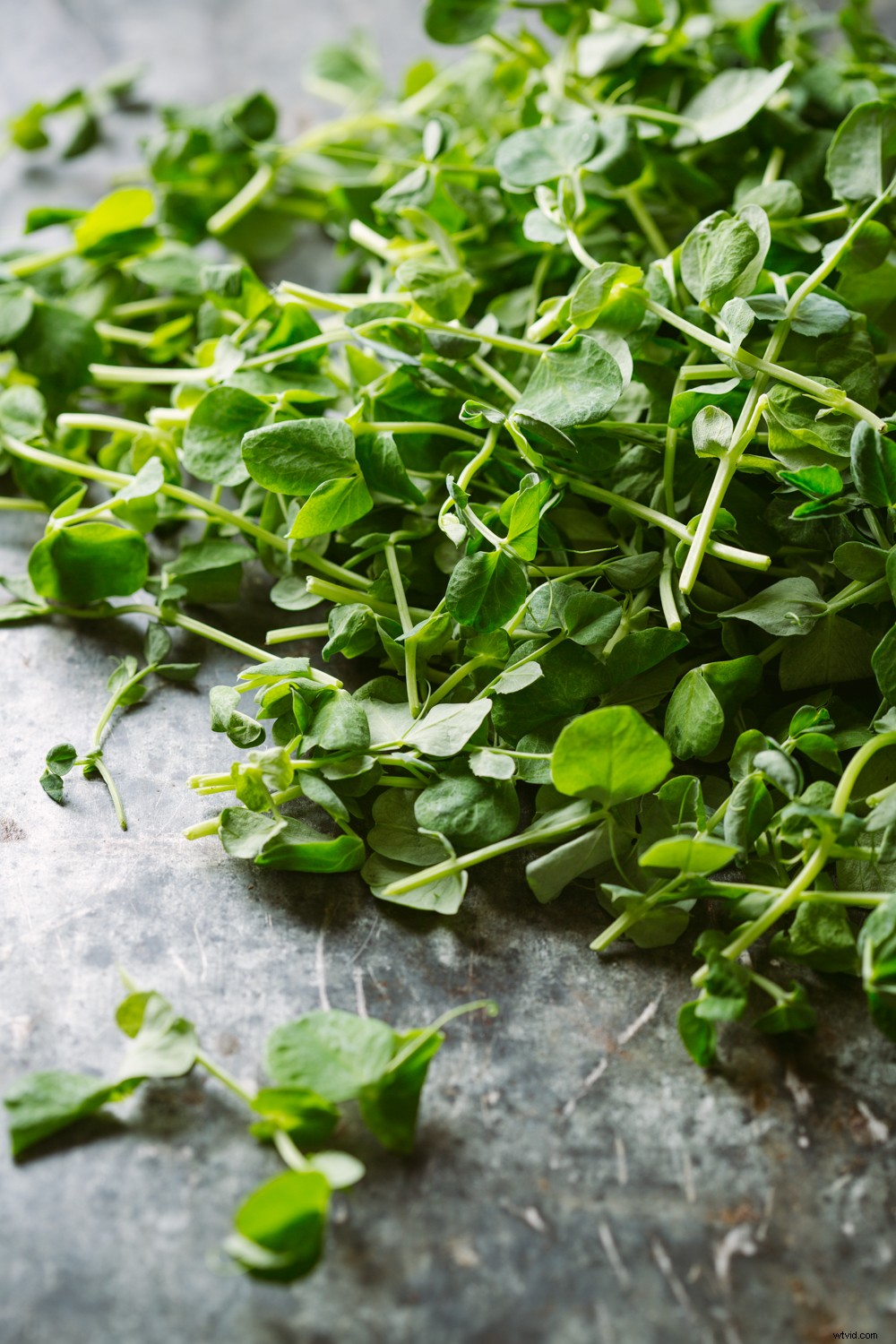 Ultimate Guide to Food Photography: Pro Tips for Stunning, Mouth-Watering Shots | dPS