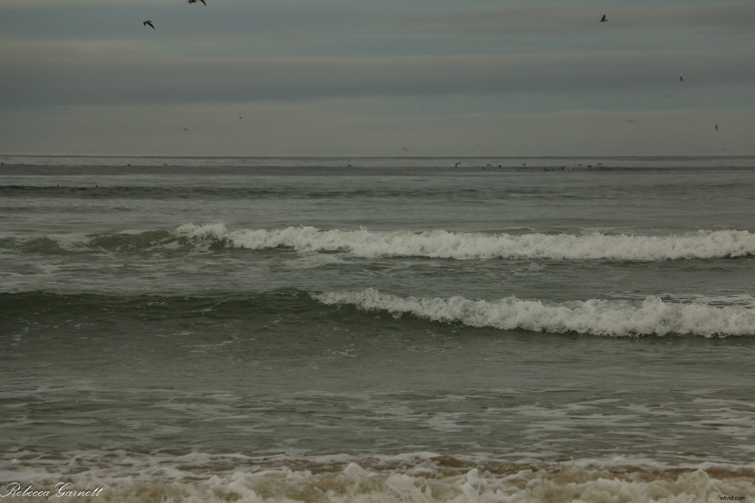 31-Day Photography Course: Stunning Before & After Student Transformations