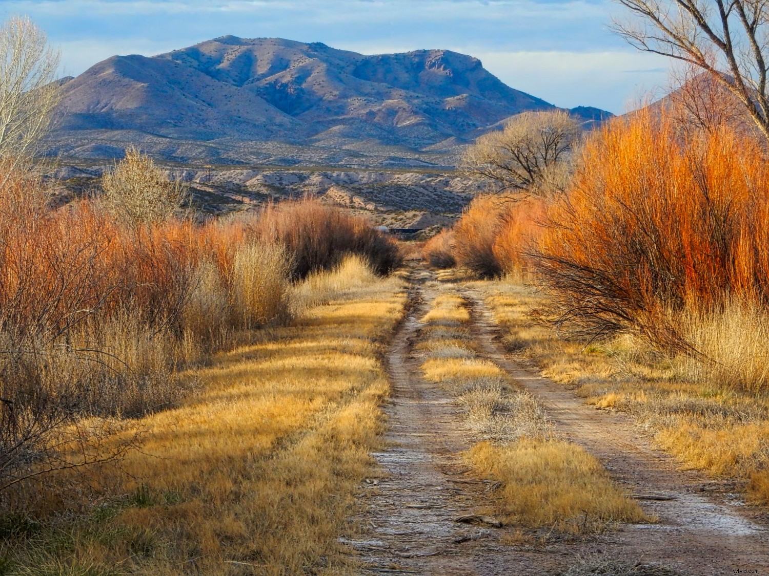 31-Day Photography Course: Stunning Before & After Student Transformations