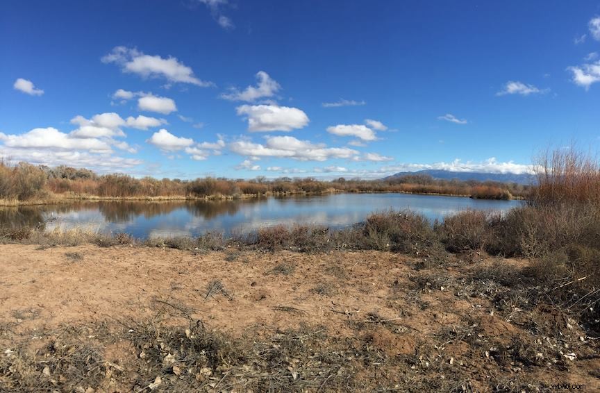 31-Day Photography Course: Stunning Before & After Student Transformations