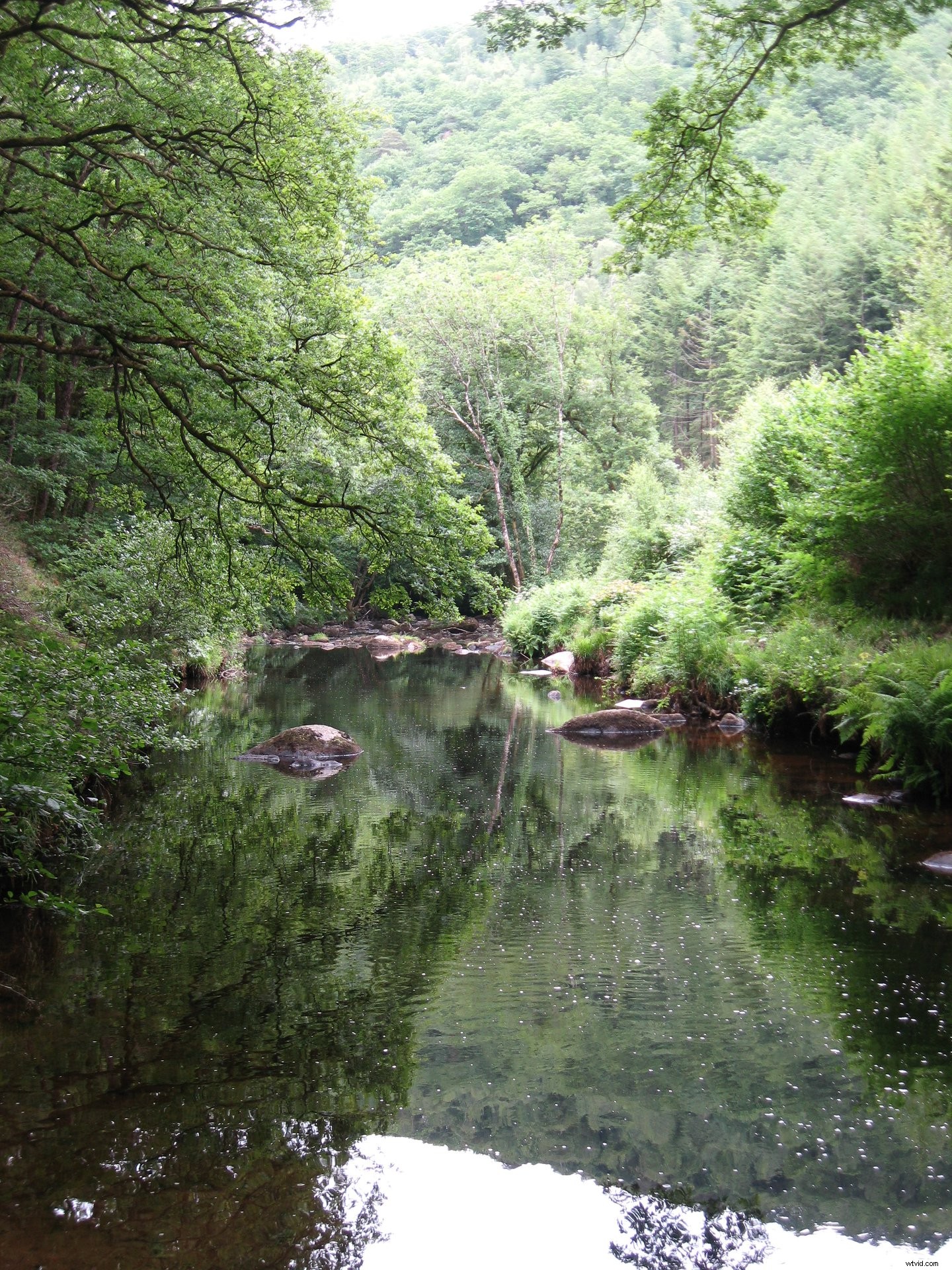 31-Day Photography Course: Stunning Before & After Student Transformations